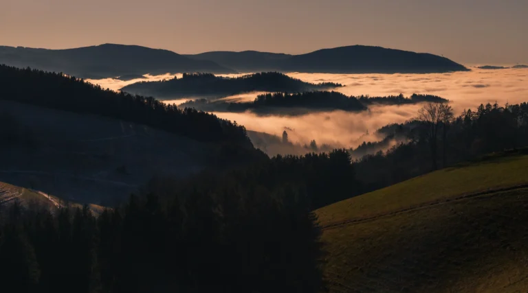 Black Forest – Germany’s Fairytale Forest of Nature, Food, and Traditional Markets